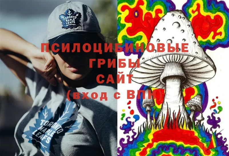 МЕГА как зайти  Починок  Галлюциногенные грибы Magic Shrooms 